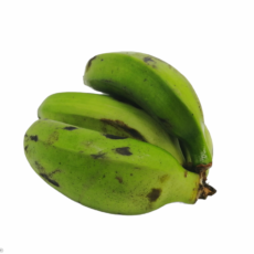 Plátano colicero